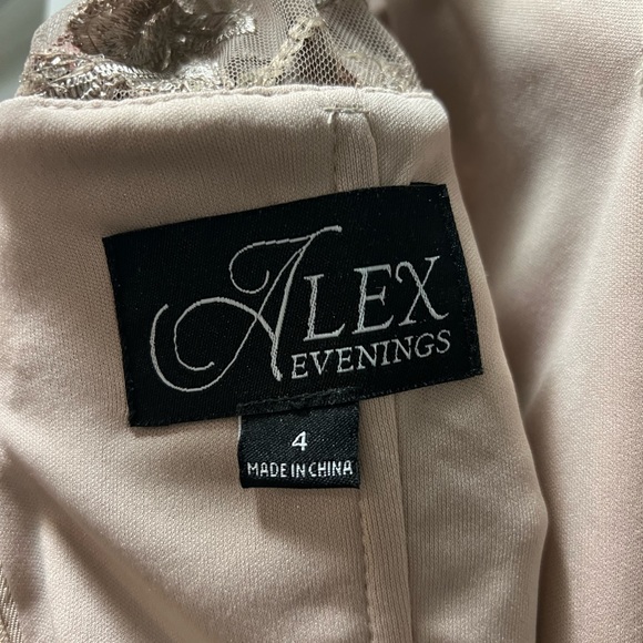 Alex Evenings Champagne Embroidered Tulle Gown - Picture 3 of 10